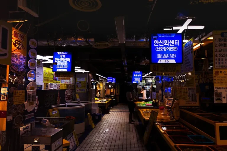 What Korean betting and casino readers Should Know About magazinenote.com